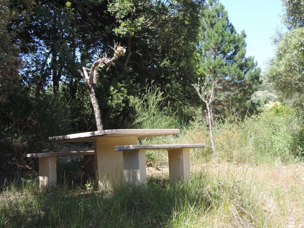 Отель Les Deux Lions Alairac Экстерьер фото